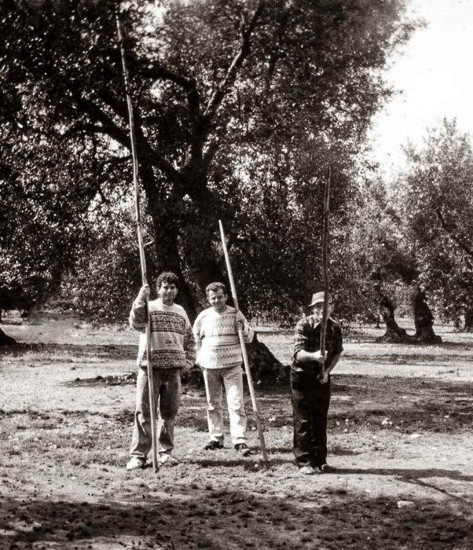 banner-sez-le-chiese-azienda-agricola-olearia-carmiano-salento-lecce-28